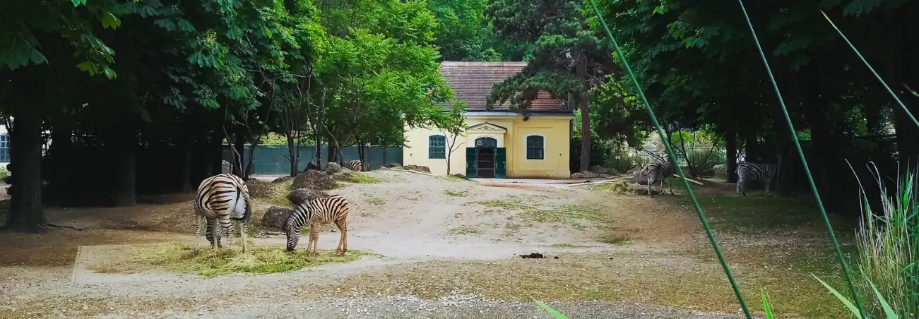 Schonbrunn Zoo Skip The Line Tickets
