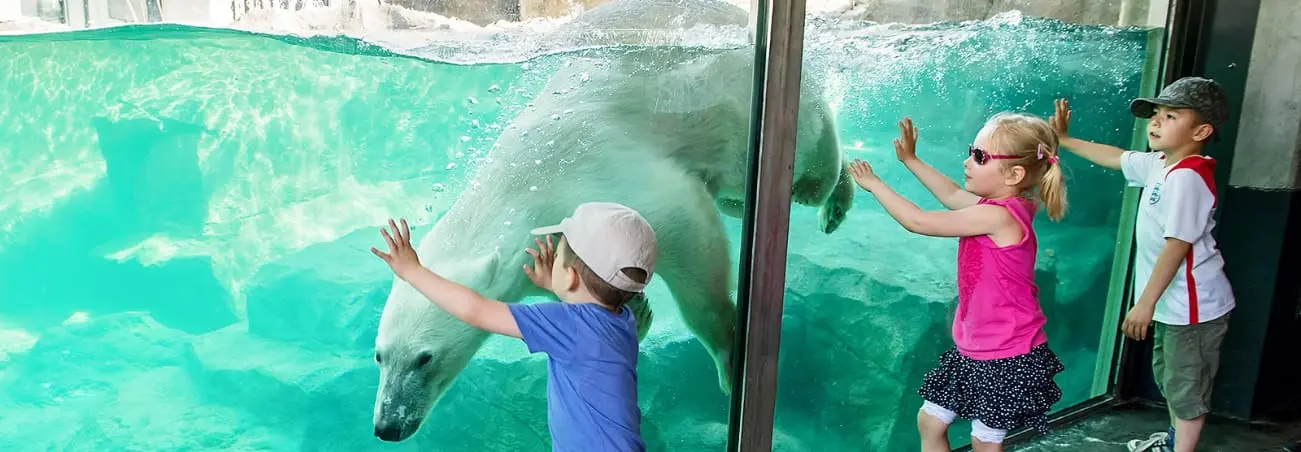 Schonbrunn Zoo Skip The Line Tickets