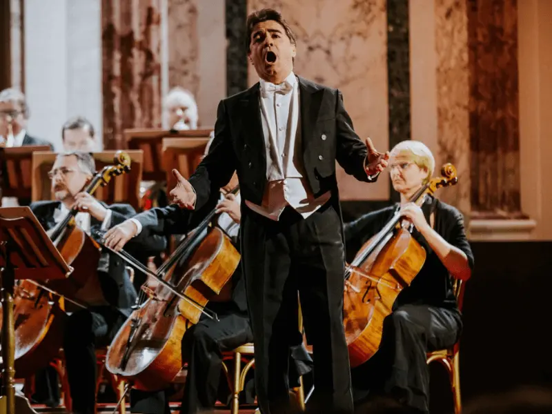 Entrada Al Concierto De Strauss Y Mozart En El Majestuoso Palacio Hofburg